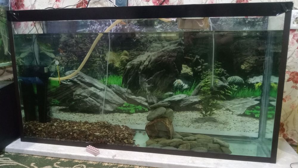 Аквариум с оборудованием