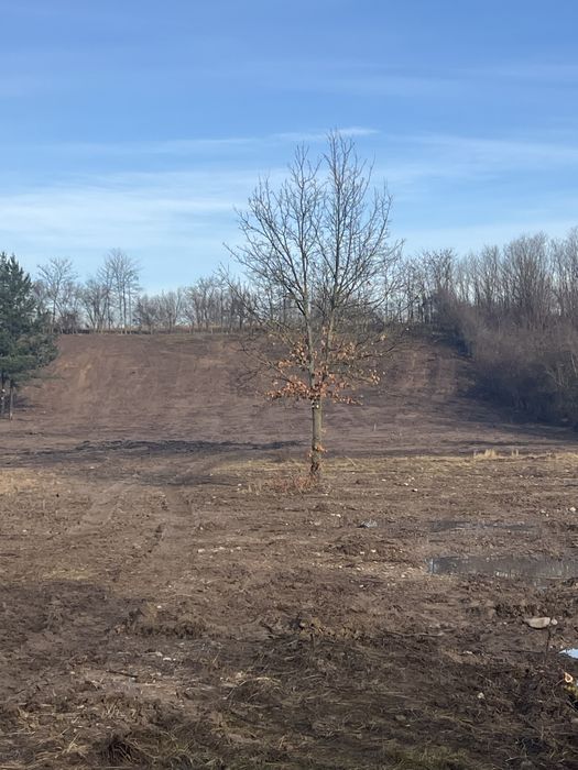 Vand teren Zervesti, comuna Turnu Ruieni