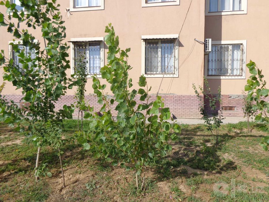 НОВОСТРОЙКА Тошкент марказ ЖК Самарканд Дарваза 1 кават 2 хона томорка