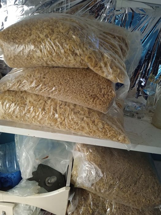 Макарон нестандарт для собак