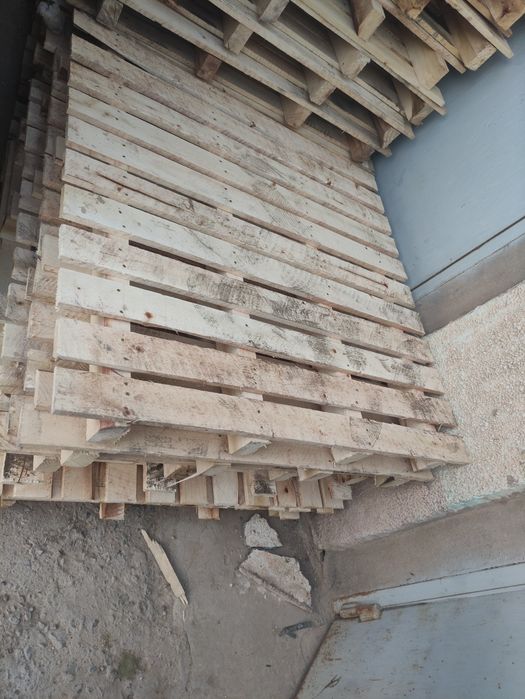 1.10 ga 1.10 sm paddon narxi 80 mingdan Termiz shahar