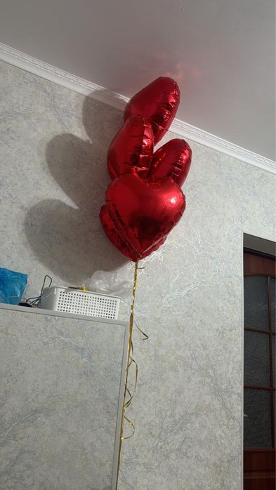 Шарик 5сердечко+цветы 10000тг