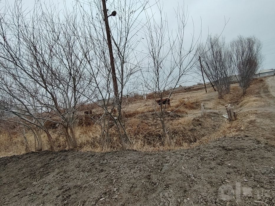 Жер орин сатилади