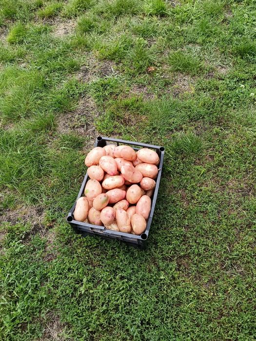 Продам дачу Сад Реченька