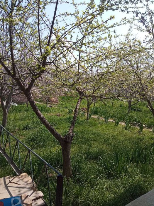 7 сотик.ховли уй сотилади