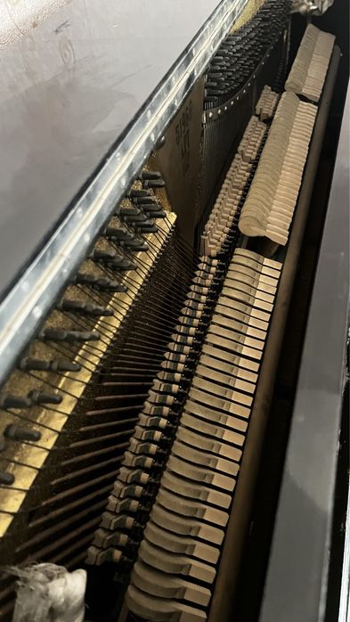 Пионино Беларусь