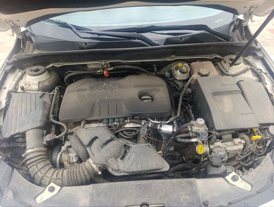 Малибу 1  1 позиция.