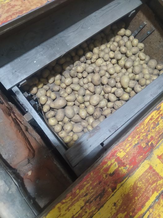 Домашняя картошка