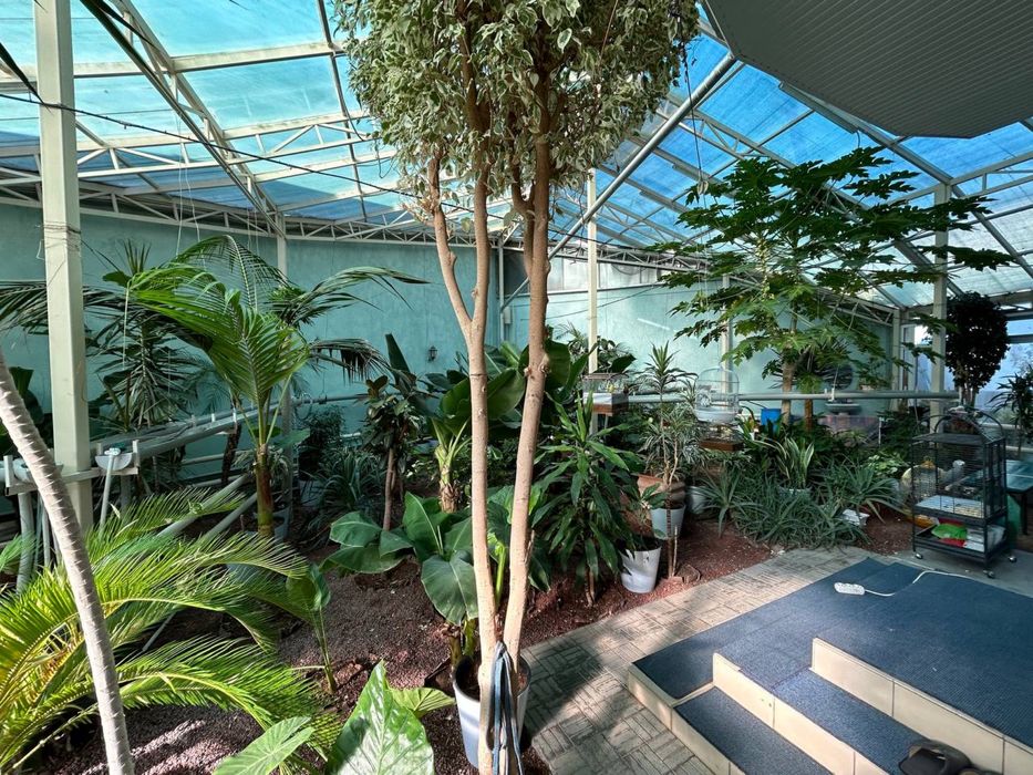 Продается 13 соток участка-дома на Садаф махалла.