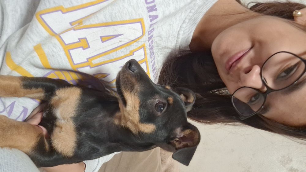 Спешно търси ДОМ! Подарявам!