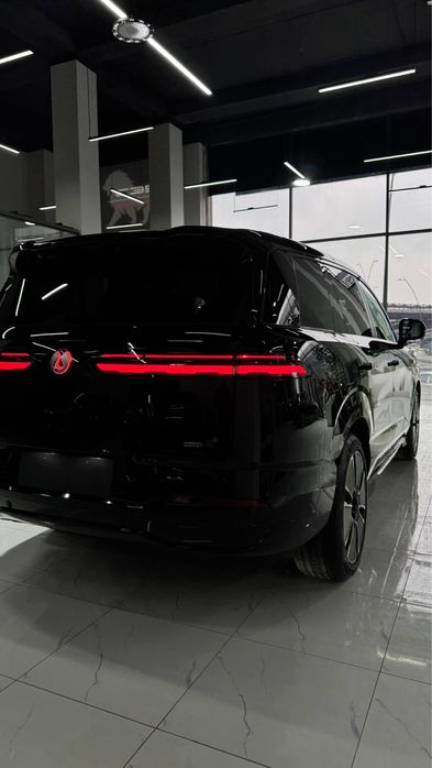 Denza n8L restayling