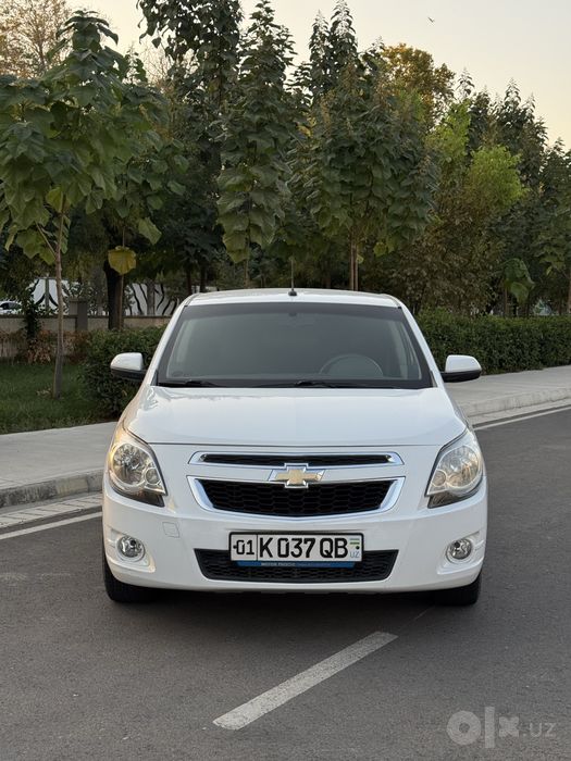 Cobalt Ltz 2021