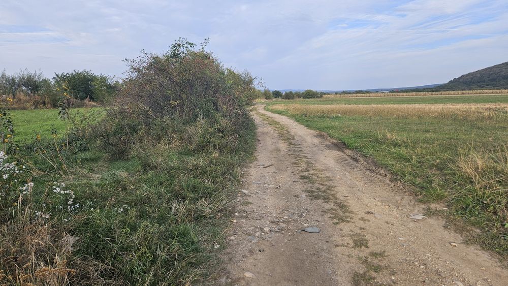 Vând teren extravilan