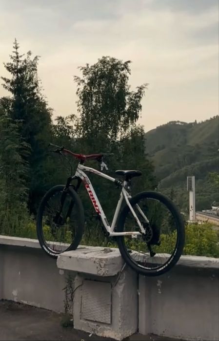 Вел TRINX L1000 обо всем в лс