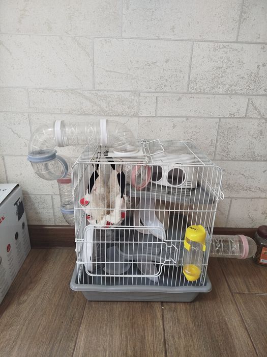 Продам клетку для хомяка