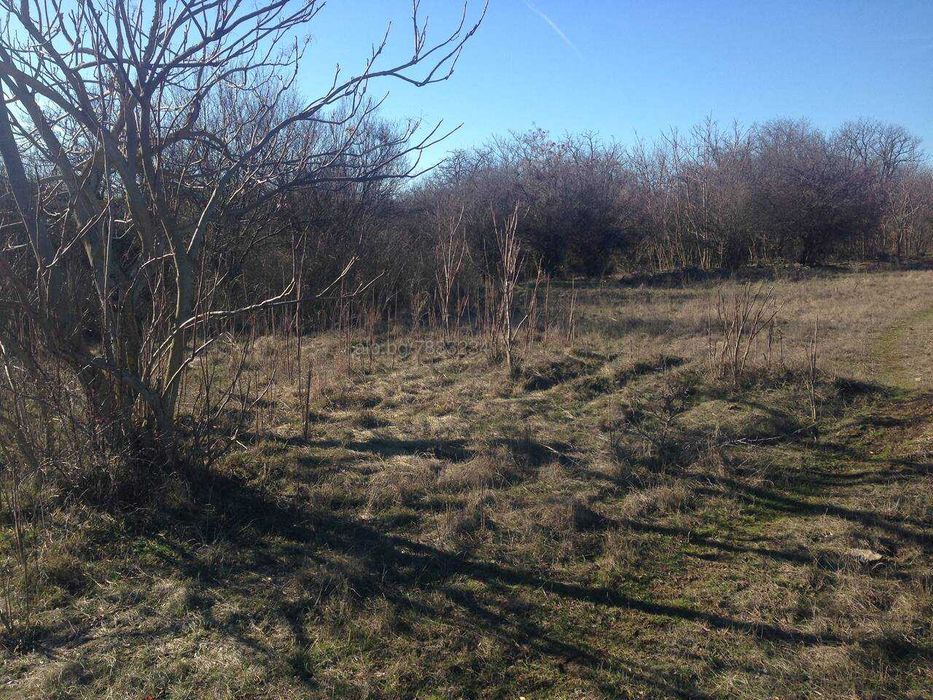 Парцел в Бежаново