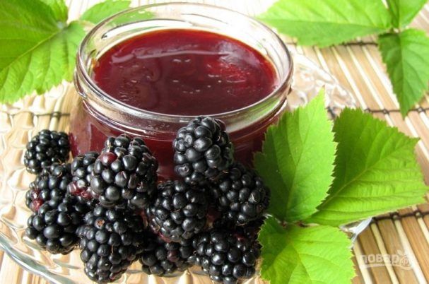 Shotut  Тутовник