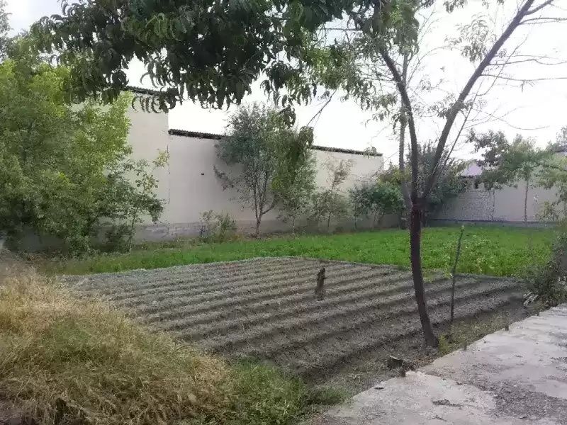 Uy joy yer tayor uchaska 4 xona gaz svet suv 4 taraf uralgan tayor uy