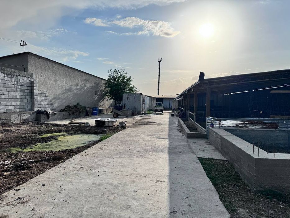 Тайёр бизнес , хамма шароитларга эгамолхона сотилади,