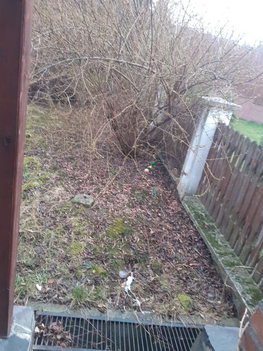 Irigații renovare gradina,curte