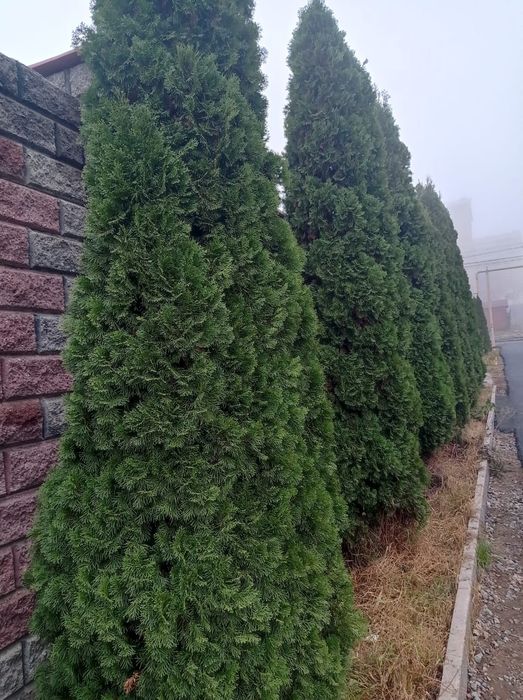 Продам земельный участок