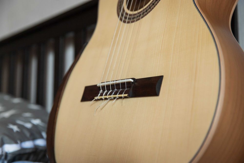 Классическая гитара, Manuel Rodriguez E-65