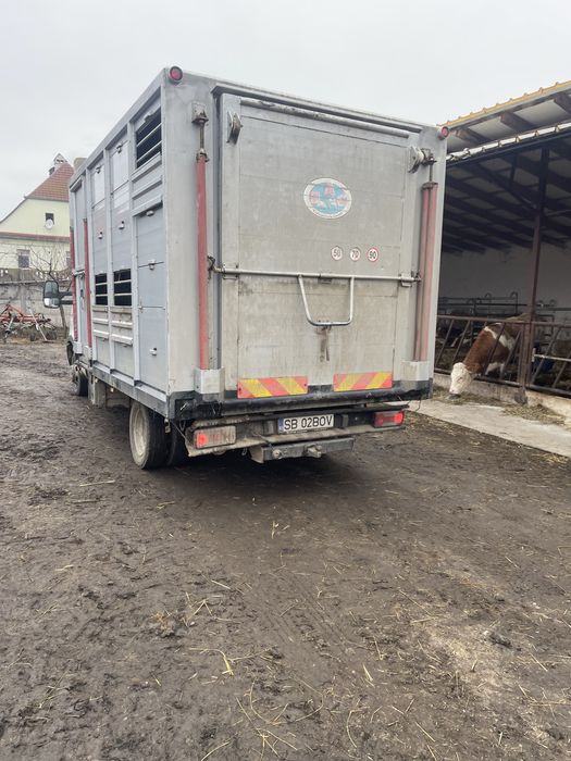 Transport animale vii