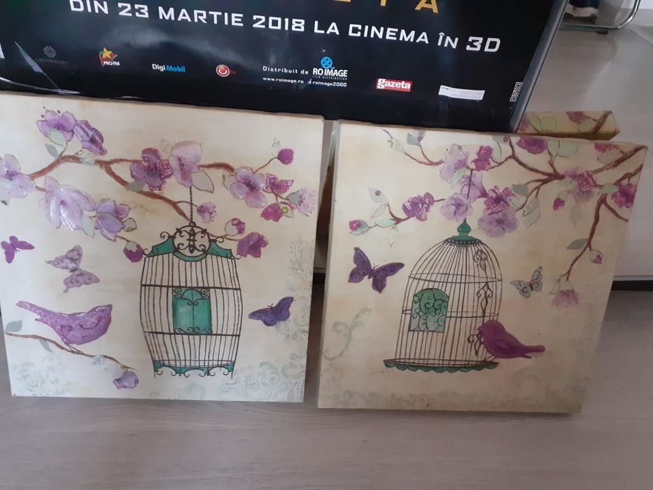 Tablouri canvas și tablouri cu rama