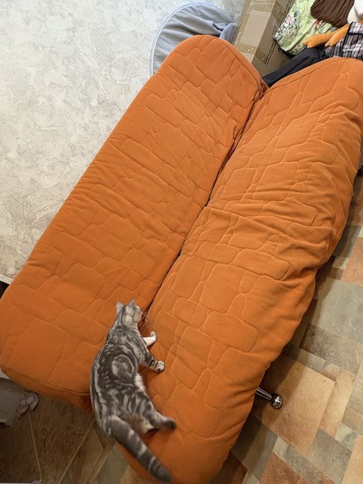 Продам Диван Кля кля