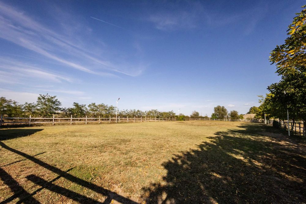 Casa de vacanta / Ferma de cai