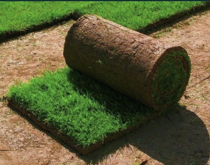 Yevro gazon ekish hizmatlari palif sistema