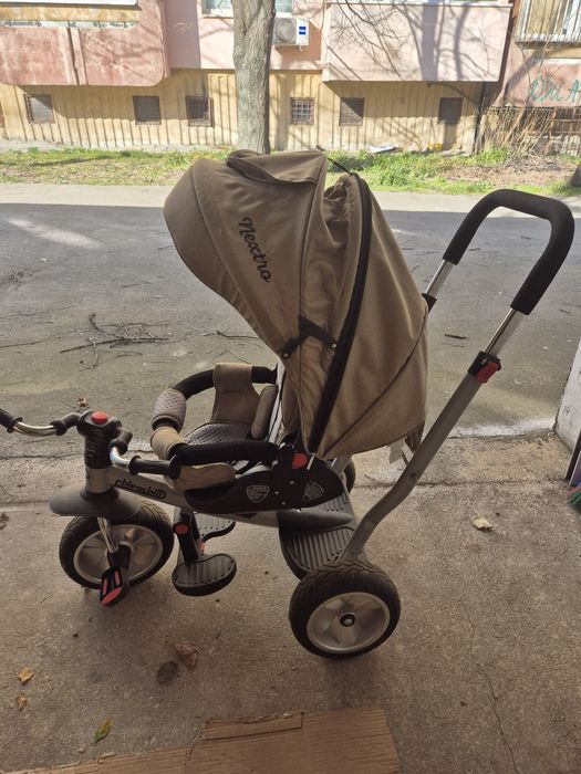 Триколка Chipolino