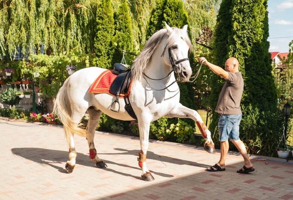 Vand Armasar Andaluz