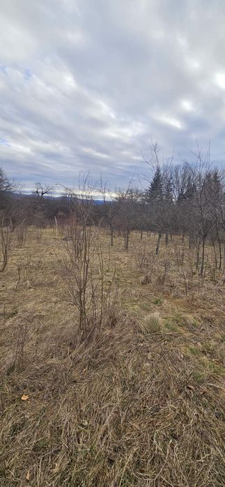 Продава се Парцел в с. Равнище, Област София-област - 2000 кв.м за 13 €/кв.м - Снимка #1