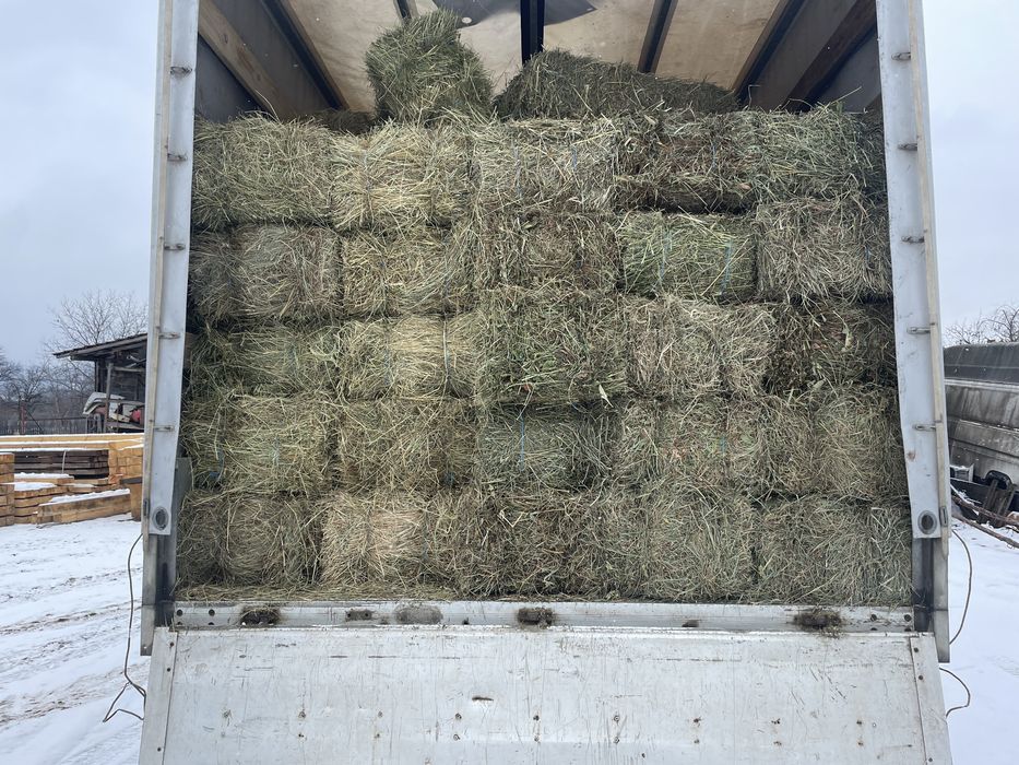 Baloti de fan,lucerna sau otava, pret negociabil