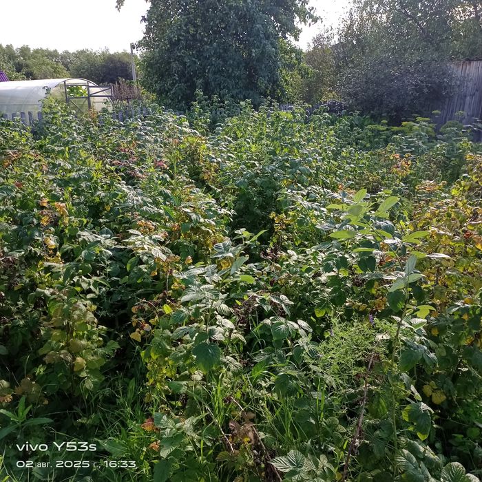 Продам дачу. С/ о "Дружба"