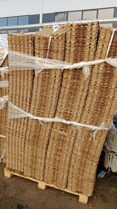 Fleyka va makalatura olaman