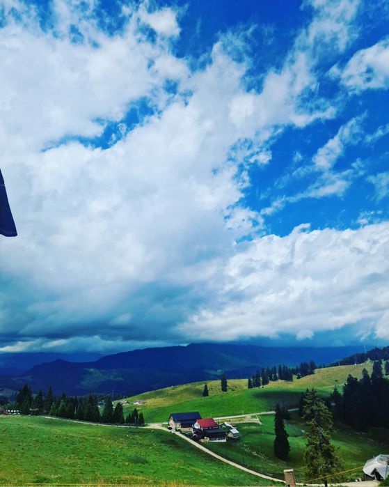 Pensiunea Valea cu brazi Dambovicioara