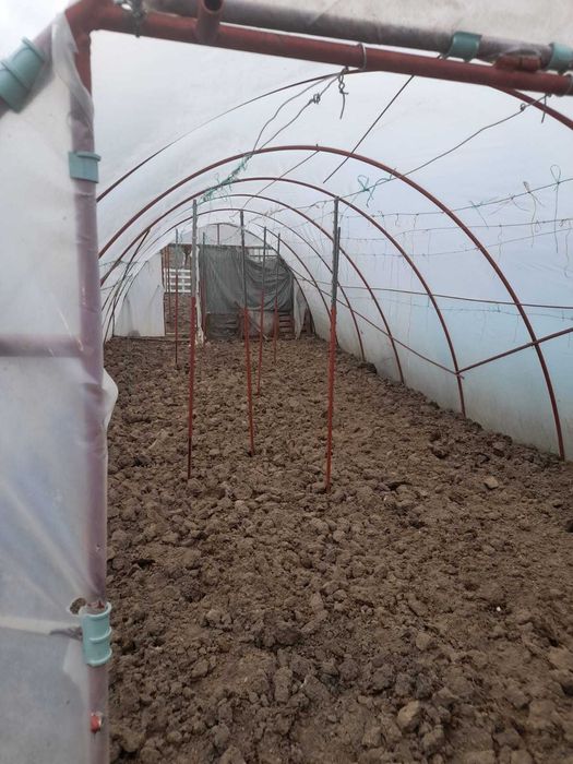 Vand teava flexibila pentru sere 1 1/4 tol