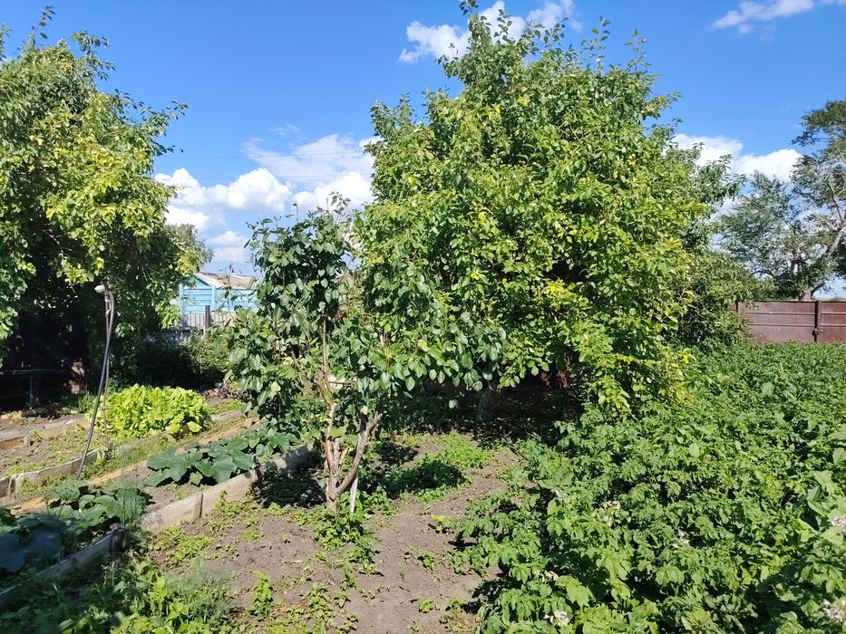 Продаём дом, в п. Рыспай.