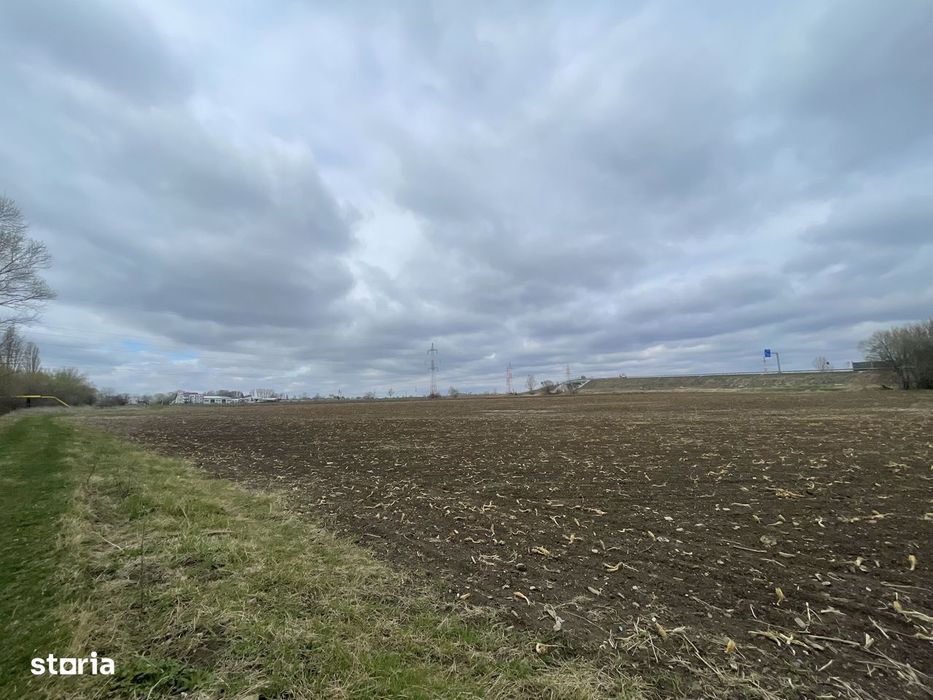 Teren Intravilan | 50 Ari | Zona Periferica Radauti