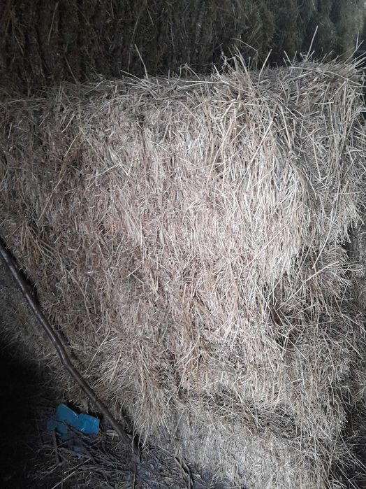 Baloți de fîn și lucernă de vânzare
