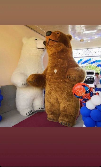 Afarmleniya oformleniya ochilish оформление ayiqlar