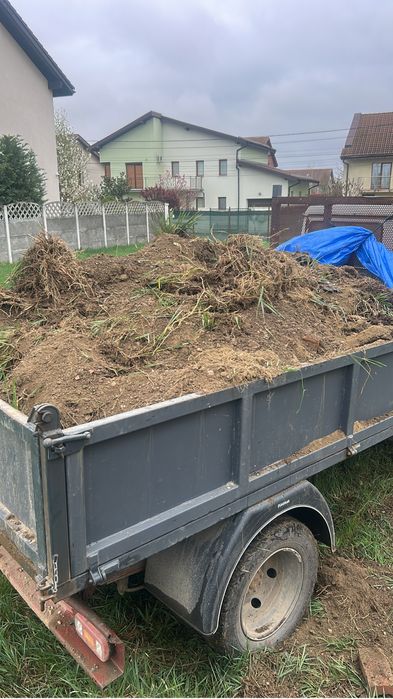 Aducem la comanda sort nisp piatra concasata  debarasam  moloz pamnat vegetal