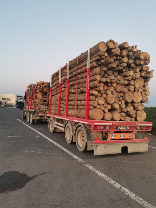 Remorca forestiera transport lemn