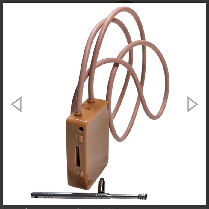 Бръмбар за преписване