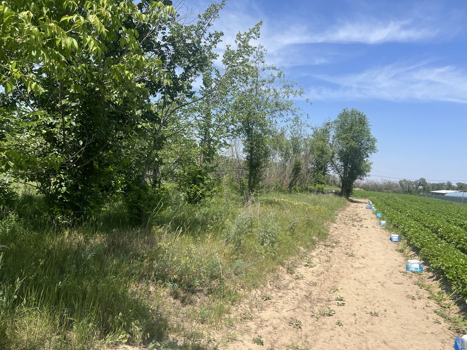 Продам участок Касымбек