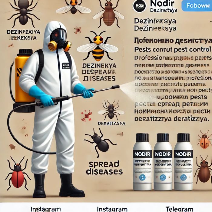 Профессиональная дезинсекция и дератизация в Ташкенте!