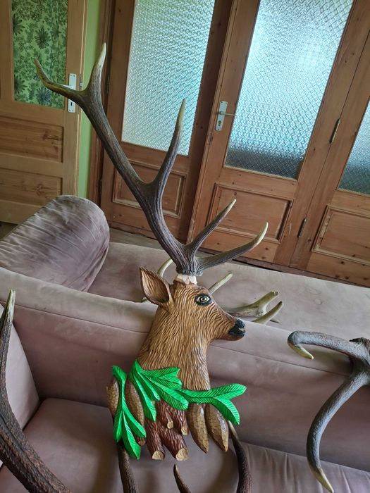Coarne de cerb lepadate