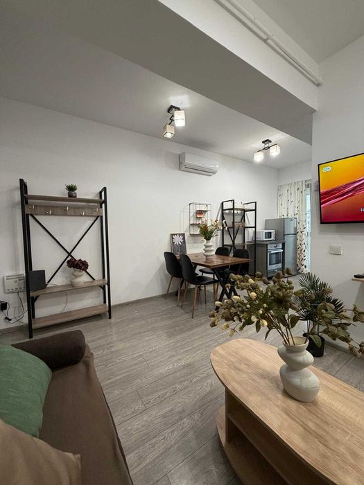 IS Cazare Apartamente 1-2-3 Cam Regim Hotelier Centru-Palas-Newton